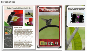 Creatures, Plants, and More:   A Kid's Guide to Northwest Florida